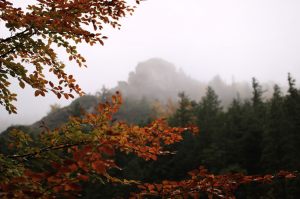 Fotoaktywni 70